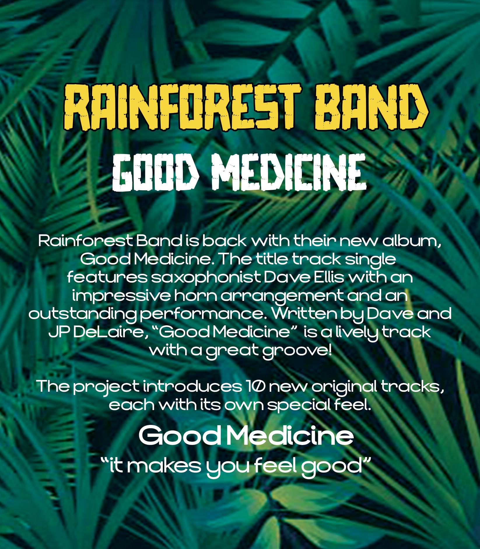 Rainforest Band Website Pamphlet Outside